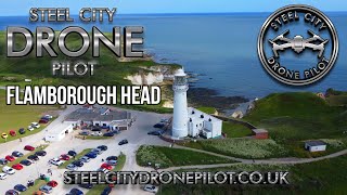 Filming seals at Flamborough Head [upl. by Ave577]