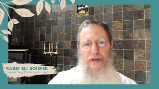 Your Vegan Seder Plate  Rabbi Eli Soiefer [upl. by Eiboh277]