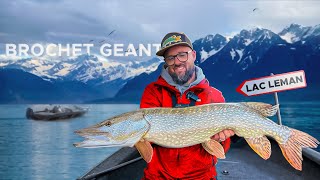 La traque des POISSONS GÉANTS du lac Leman gros brochets [upl. by Kcirre]