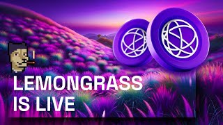 Celestia’s Lemongrass Upgrade is Live What You Need to Know [upl. by Eillo]