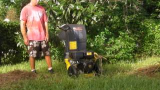 Stanley CH7 Chipper Shredding 30 Queen Palm Fronds [upl. by Norrahc]