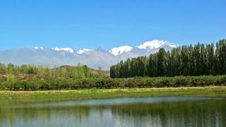 MENDOZA  Argentina turismo bodegas y viñedos Ruta del vino en Mendoza enoturismo visitar caminos [upl. by Siramaj363]