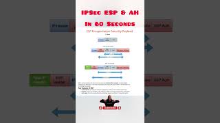 IPSec ESP amp AH  Transport and Tunnel mode ipsec vpn networking cybersecurity [upl. by Ybok]