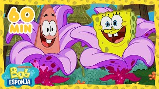 Bob Esponja  ¡60 minutos de los NUEVOS MEJORES momentos de Bob Esponja  Bob Esponja en Español [upl. by Whiteley138]