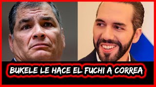 Bukele le hace el fuchi a Correa entérate [upl. by Aicenat]