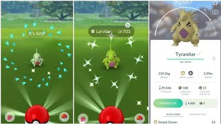 Larvitar Community Day in Pokémon GO  Catching Evolving and Shiny Hunting [upl. by Neros]