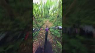 MTB with a 360 camera 📹 [upl. by Moritz]