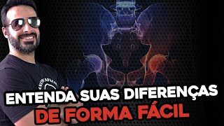 ASSOALHO PÉLVICO E PERÍNEO ENTENDA SUAS DIFERENÇAS DE FORMA FÁCIL [upl. by Rein]