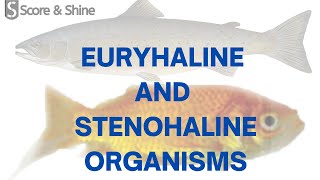 EURYHALINE AND STENOHALINE ORGANISMS  EXAMPLES  PREVIOUS YEAR QUESTION  TARGET SO AFO 20222023 [upl. by Aihsekyw]