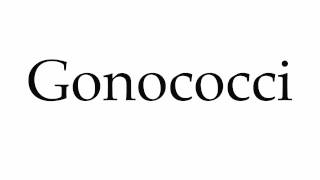 How to Pronounce Gonococci [upl. by Goodyear510]