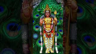 orumaiyudan ninathu thiruvadi murugansong oldmemoriesz [upl. by Ellehsim]