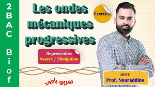 2BAC Biof  Les ondes mécaniques progressives Exercice  Correction  avec Pr Noureddine [upl. by Blinni]