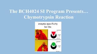 Chymotrypsin mechanism [upl. by Threlkeld]