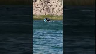 Boat Fails Compilation shorts boatfails funny epicfails [upl. by Denis]