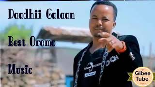 Daadhii Galaan Oromo Music Botti Jilba Jabaa Maaltu Jibba Best Music 2019 [upl. by Kaleena515]