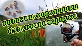 Шерстяные нитки и Мушки на хариуса👆 Рыбалка на реке Лебедь на спиннинг 👆 [upl. by Dilaw]