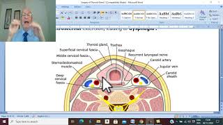 Thyroid disorders in Arabic 6  Simple nodular goiter  part 2   by Dr Wahdan [upl. by Kesley197]