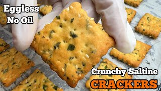 Homemade Crunchy Saltine Crackers Recipe  StepbyStep Tutorial  Delicious Biscuits [upl. by Harrington946]