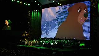 Disney in Concert Wonderful Worlds 2018 WIEN  Bärenbrüder [upl. by Liakim]