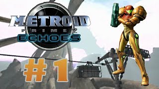 Lets Play Metroid Prime 2 Echoes Blind  1  A New Horror [upl. by Accisej9]