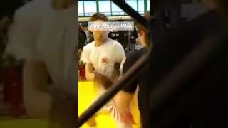 Wing Chun vs MMA [upl. by Sherrill429]