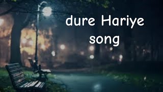 dure Hariye Song  slowed and reverb [upl. by Garap12]