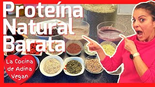 Proteína en Polvo  CASERA NATURAL BARATA VEGAN 💜 [upl. by Louis188]