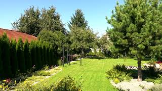 2023 September Garden Mowed grass song 5 [upl. by Amathiste]