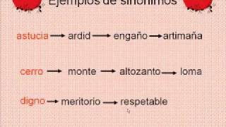 Sinonimos Antonimos Paronimos 6º prim y 1º sec R Verbal [upl. by Ellac]