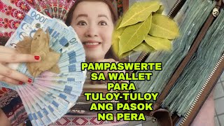 PAMPASWERTE SA WALLET PARA TULOYTULOY ANG PASOK NG PERADAHON NG LAURELAPPLE PAGUIO7 [upl. by Nyleahs741]