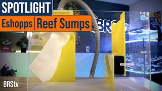 Simple amp Functional Filtration for Saltwater Aquariums  Eshopps 4th Gen Reef Sumps [upl. by Suriaj]