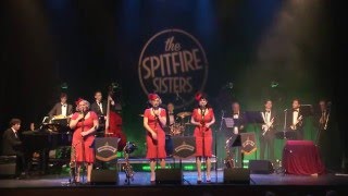 The Spitfire Sisters  LIVE [upl. by Monahan]