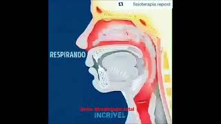 Epiglote Respiração e Deglutição [upl. by Damales]