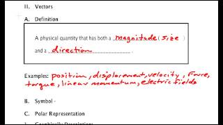 Scalars and Vectors [upl. by Meave]