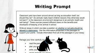 Analyze a Writing Prompt [upl. by Ynaffit]