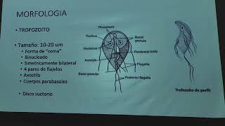 Giardiasis Amebiasis  Dr Carr [upl. by Nedroj2]