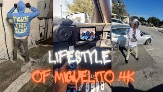 Lifestyle of Miguelito4k [upl. by Bernt]