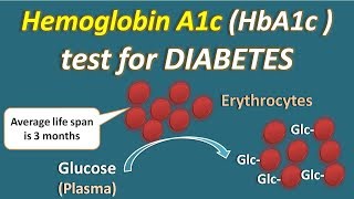 Hemoglobin A1c HbA1c test for diabetes [upl. by Analad529]