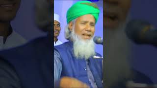 Helali Bangla Waz shorts waz wazmahfil islamicvideo banglawaz [upl. by Kleeman]