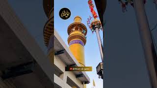 ziyarat e ashura with urdu translation✨videoshorts viralshortsshortvideo youtubeshortsyoutube [upl. by Redliw]