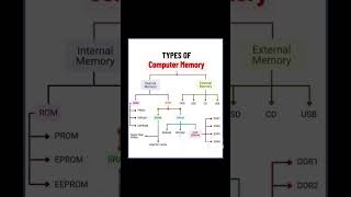 Types of Computer Memory facts free tech fyp fypシ゚viral views [upl. by Nylaras]