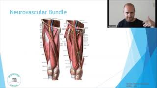 Osteopathic Considerations Hip Adduction [upl. by Dahsar]