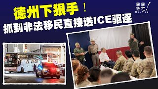 德州下狠手！抓到非法移民直接送ICE驅逐，不再送往庇護城市；馬斯克問：國稅局IRS是否該「撤銷」？呼籲廢除「消費者金融保護局」；我們應慶幸未來掌握在川普手中，而不是哈里斯；20241129 [upl. by Sheffie]