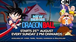 Dragon Ball Old Series Hindi Dub on Cartoon network 😍 [upl. by Astrid]