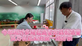 今年相对多雨低温看安溪铁观音，百万名匠如何做一泡好茶！ [upl. by Tdnarb]