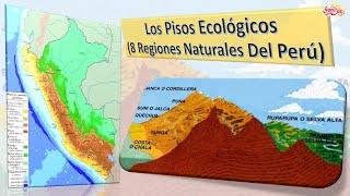 PISOS ECOLOGICOS DEL PERÚ  Ocho Regiones Naturales del Perú [upl. by Adnalro]