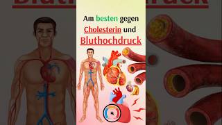 Am besten gegen Cholesterin und Bluthochdruck [upl. by Gervais263]