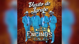 Los Encinos De Sinaloa quotVasito De Jarabequot Album Completo 2022 [upl. by Eeznyl]