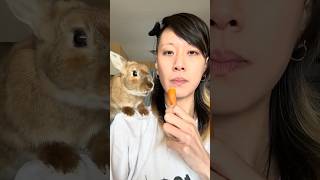 RADAGON THE BUN  Carrot mukbang cute bunny rabbit shorts [upl. by Lletniuq723]