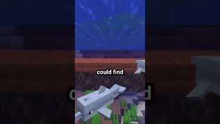 The FASTEST Way To Travel In Minecraft  Badlion Client [upl. by Salahi]